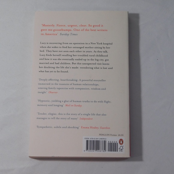 My Name is Lucy Barton by Elizabeth Strout | Paperback | Man Booker Prize Longli - Picture 5 of 6
